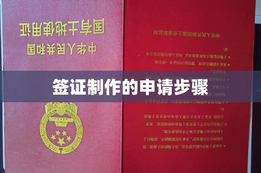 句容签证制作的申请步骤