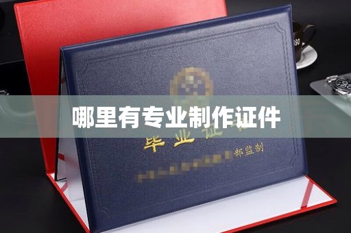 句容哪里有专业制作证件